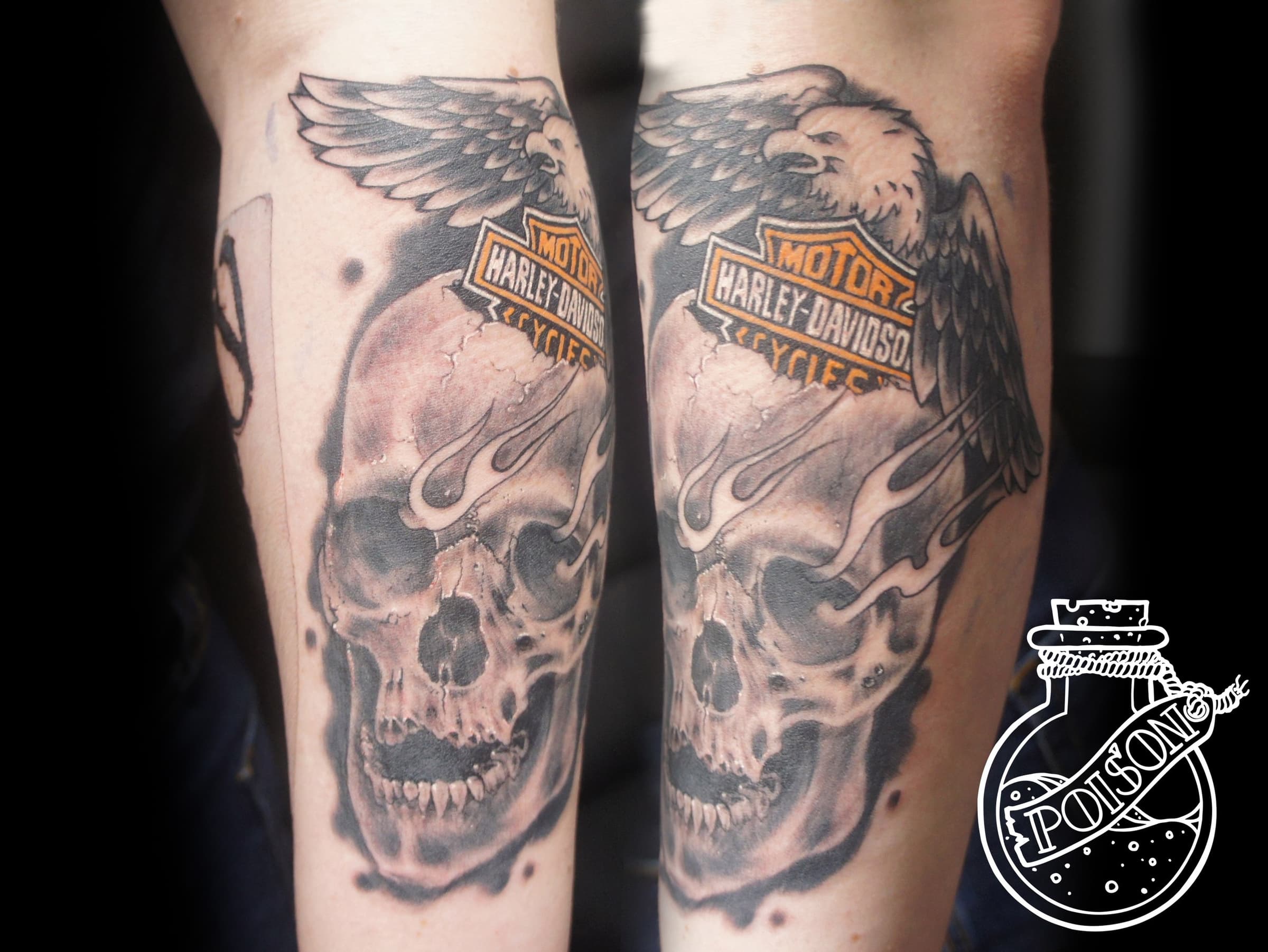 Художественная татуировка, работа 022 — Poisons World Tattoo, Санкт-Петербург