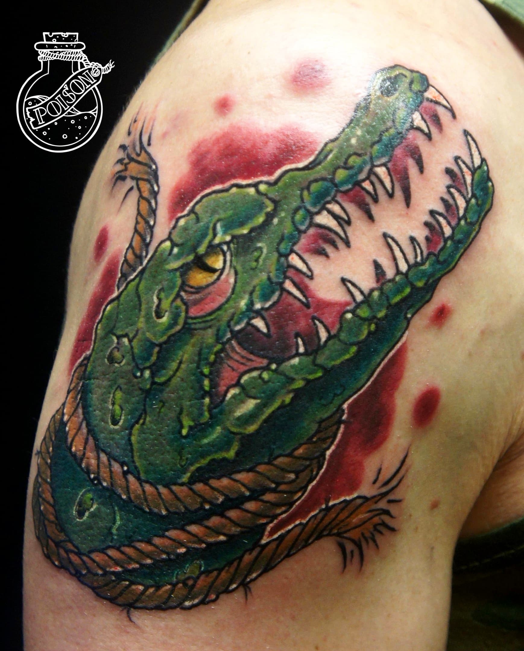 Художественная татуировка, работа 025 — Poisons World Tattoo, Санкт-Петербург