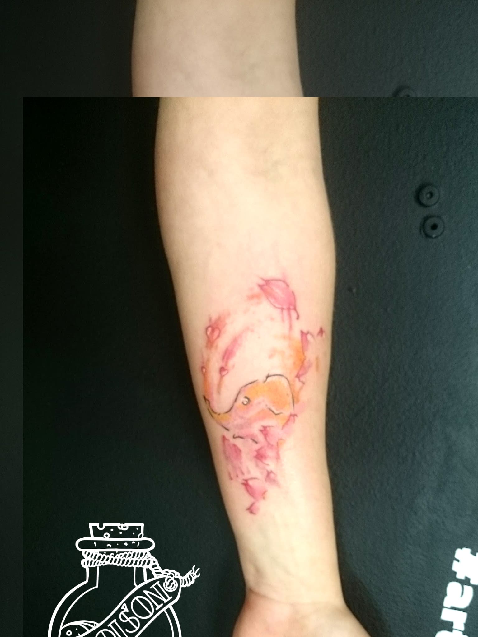 Художественная татуировка, работа 048 — Poisons World Tattoo, Санкт-Петербург