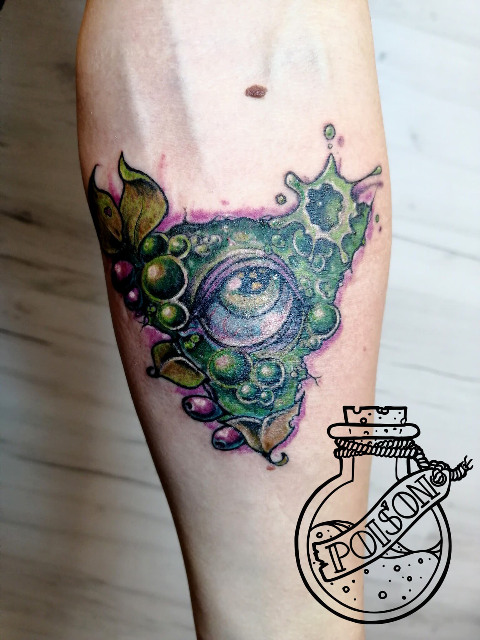 Художественная татуировка, работа 063 — Poisons World Tattoo, Санкт-Петербург