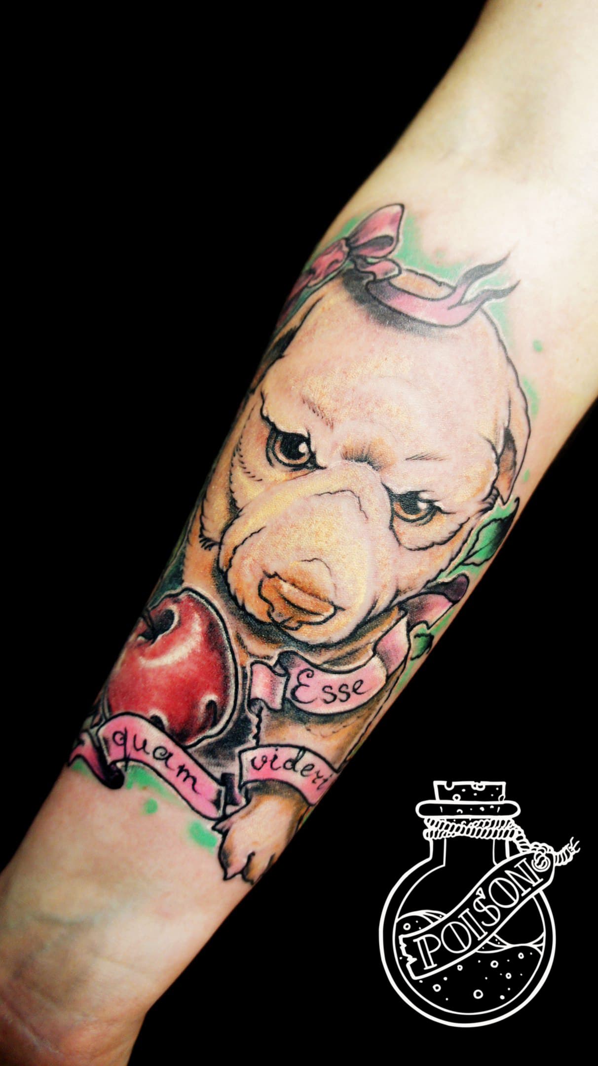 Художественная татуировка, работа 066 — Poisons World Tattoo, Санкт-Петербург