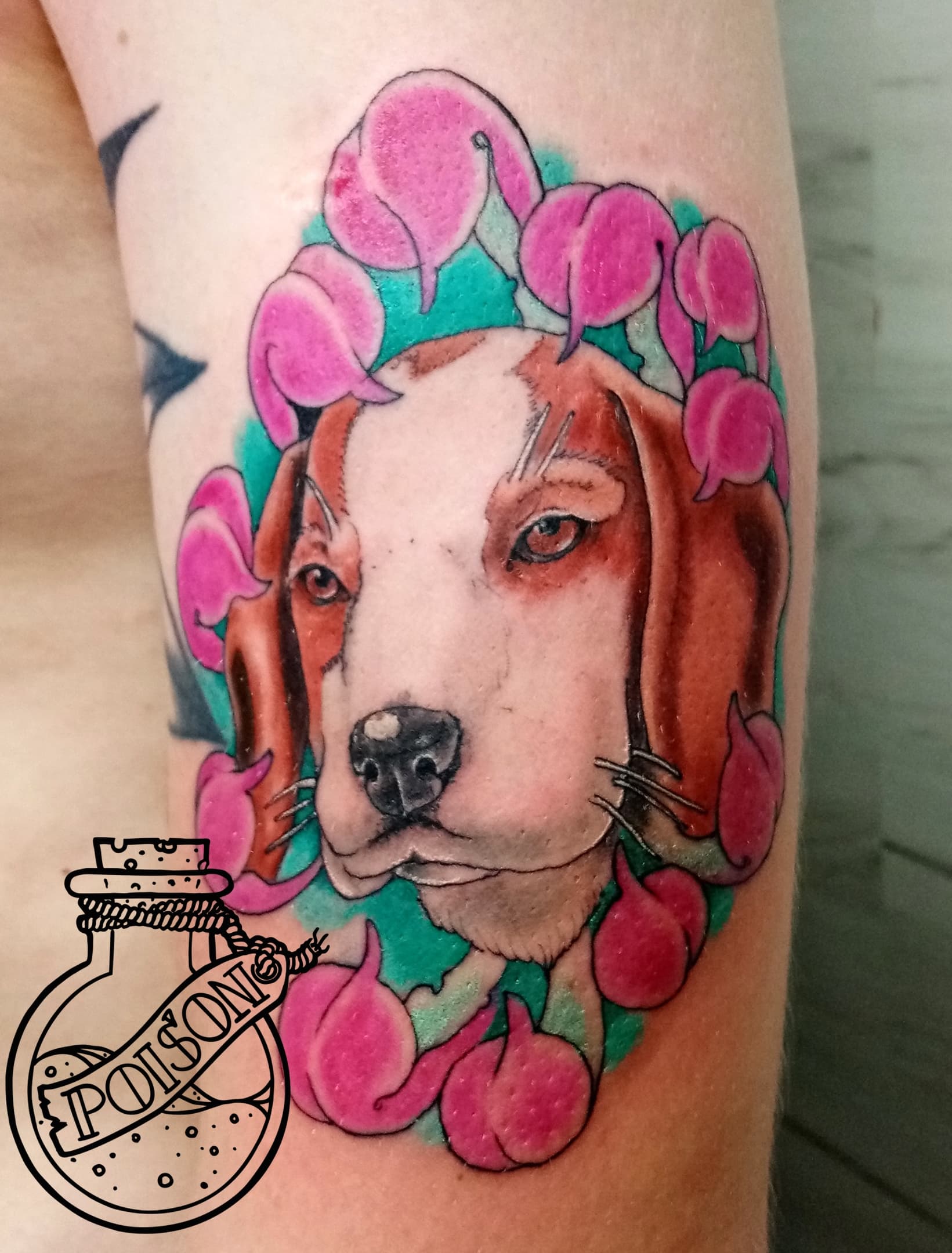 Художественная татуировка, работа 068 — Poisons World Tattoo, Санкт-Петербург