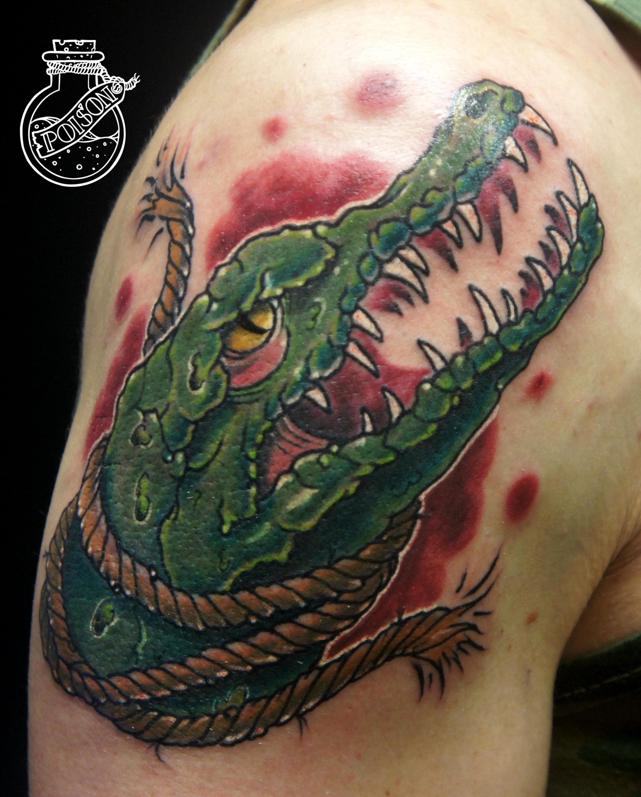 Художественная татуировка, работа 071 — Poisons World Tattoo, Санкт-Петербург