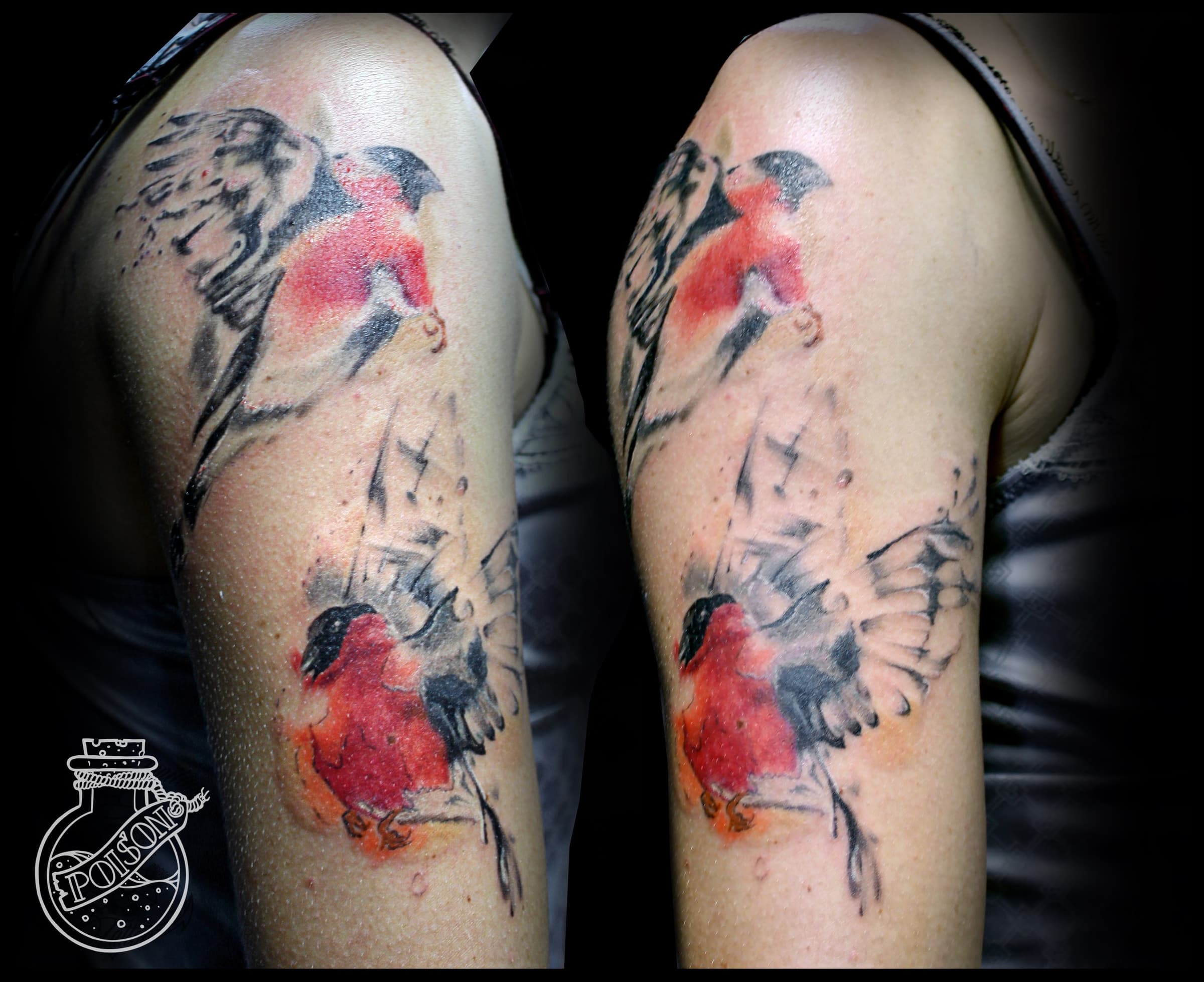 Художественная татуировка, работа 076 — Poisons World Tattoo, Санкт-Петербург