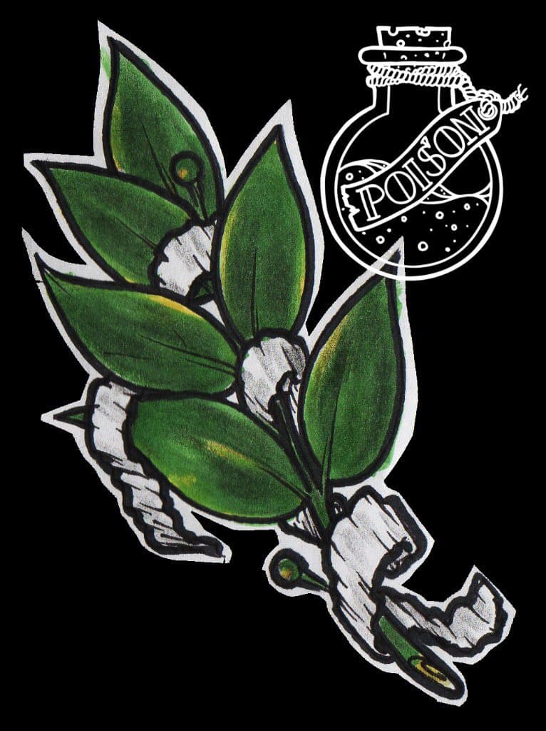 Художественная татуировка, работа 091 — Poisons World Tattoo, Санкт-Петербург